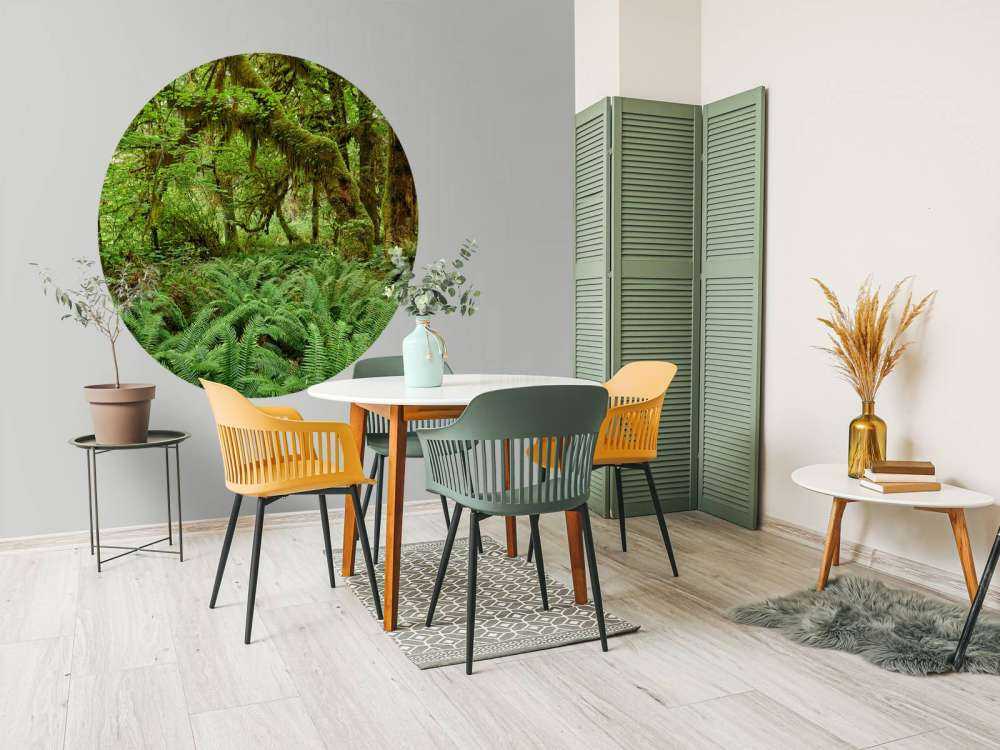 Paprocie w starym lesie