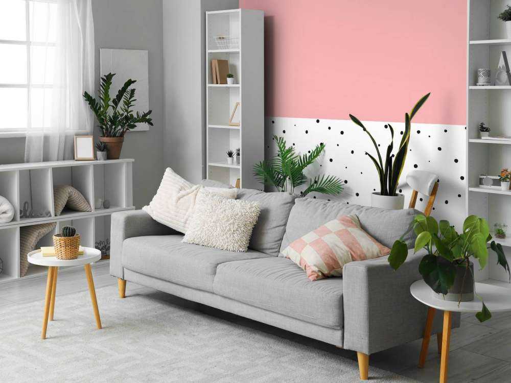 Różowe i białe obszary z czarnymi kropkami