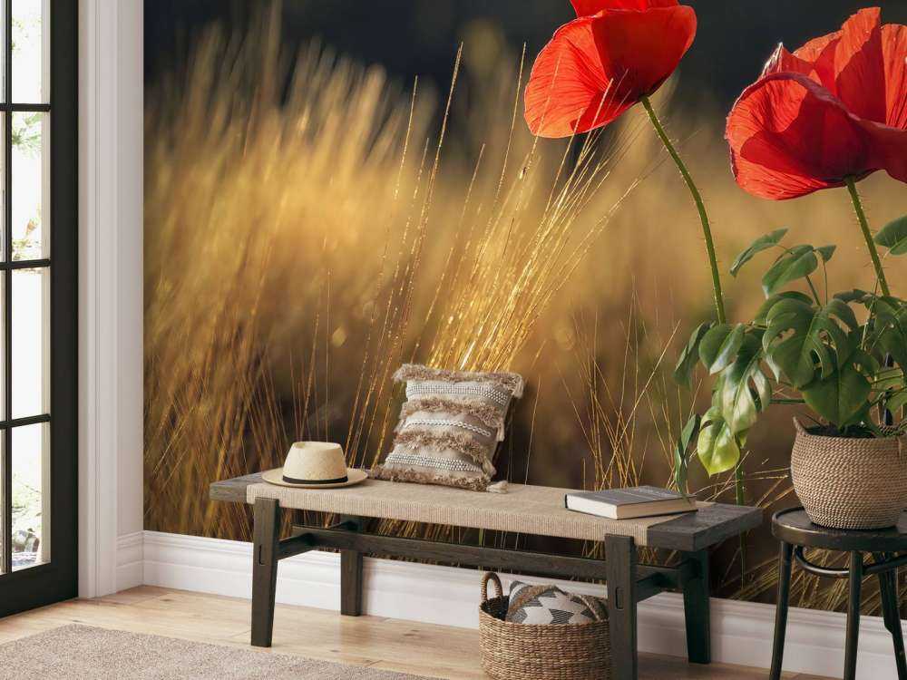 Maki na polu pszenicy