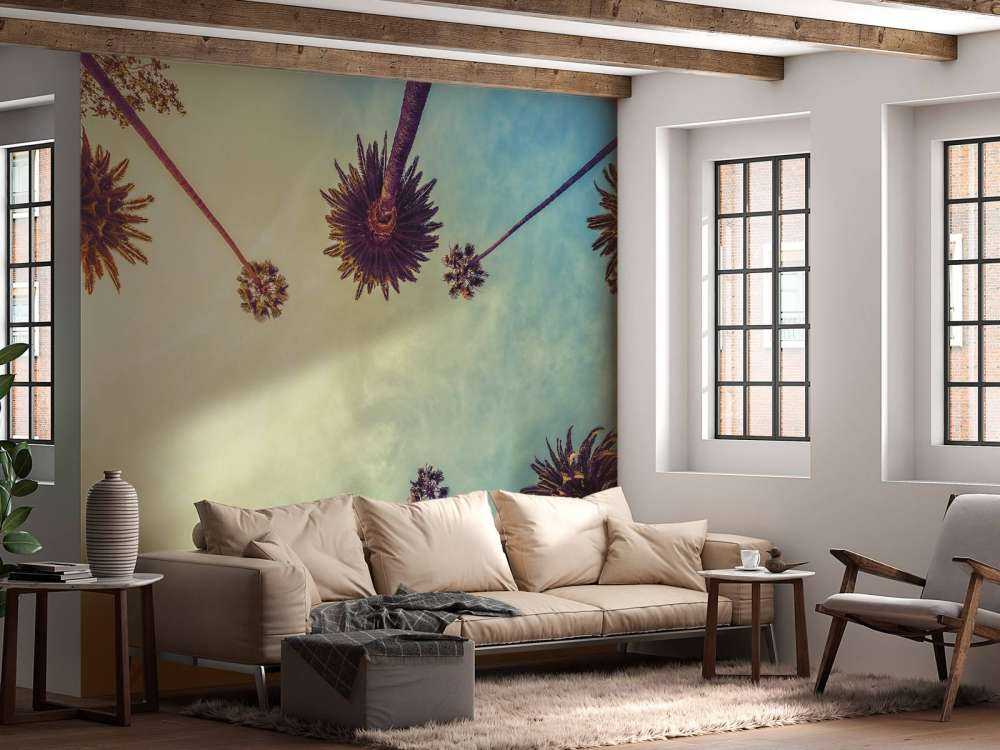 Widok z dołu na palmy