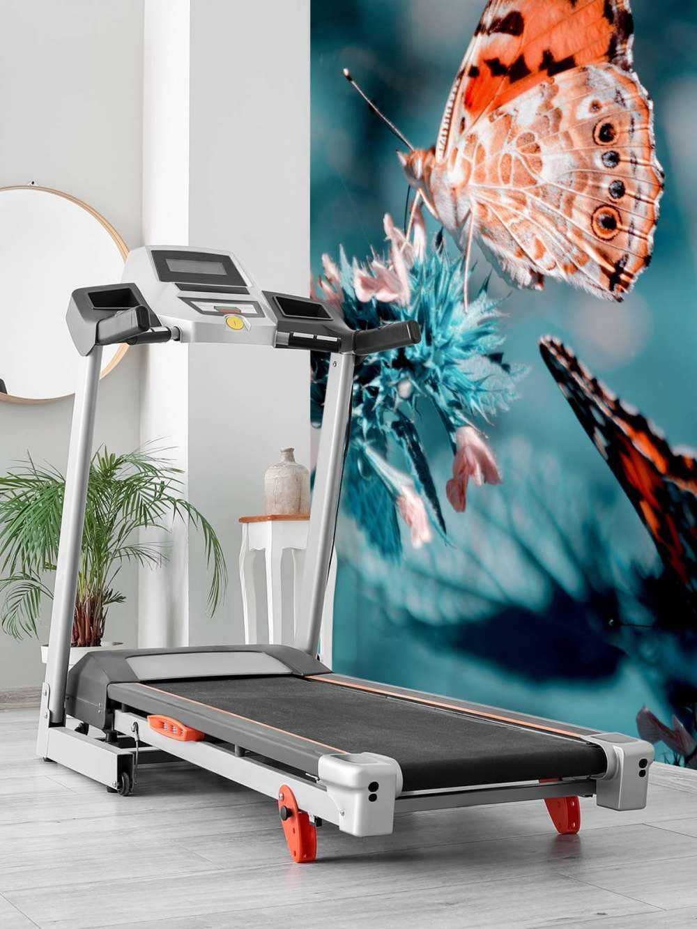 Motylki pomarańczowe