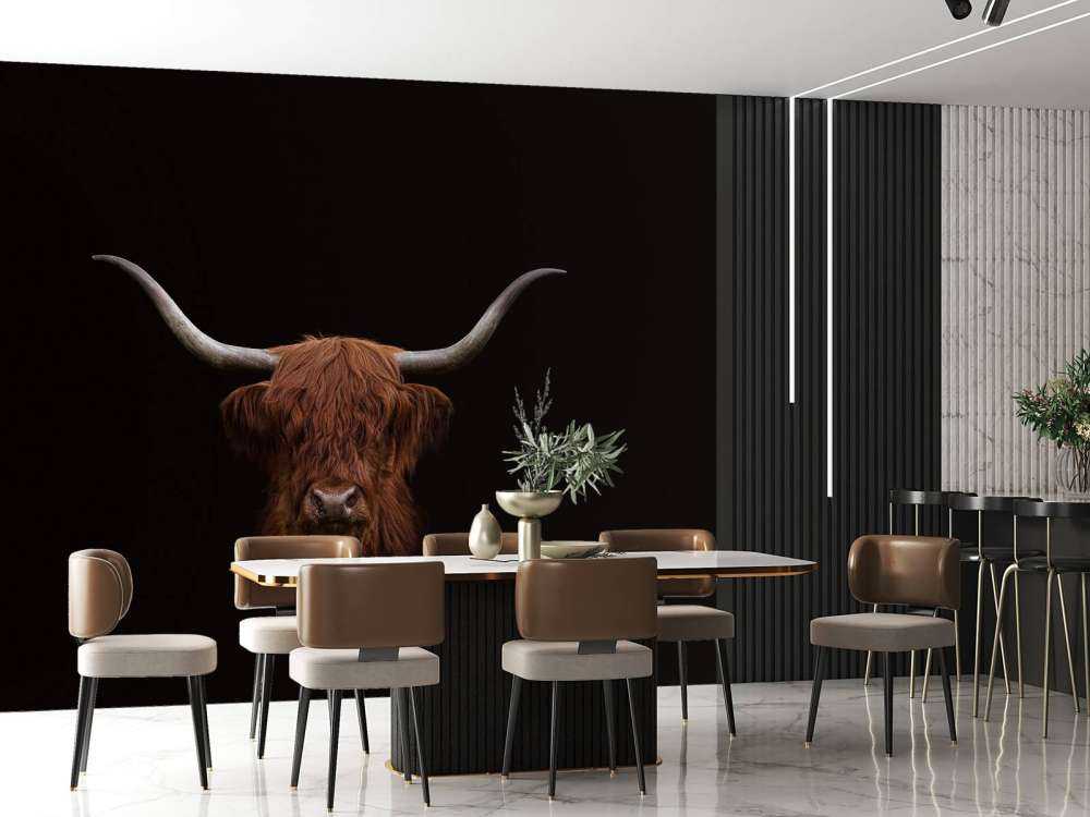 Szkocka rasa wyżynna na ciemnym tle