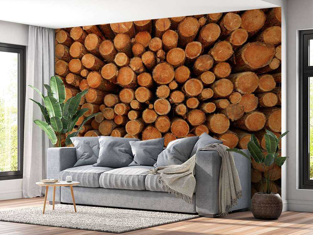 Kupa ciemnych pni drzew