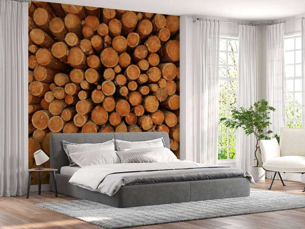 Kupa ciemnych pni drzew