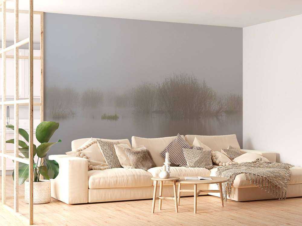 Mgła w rezerwacie przyrody