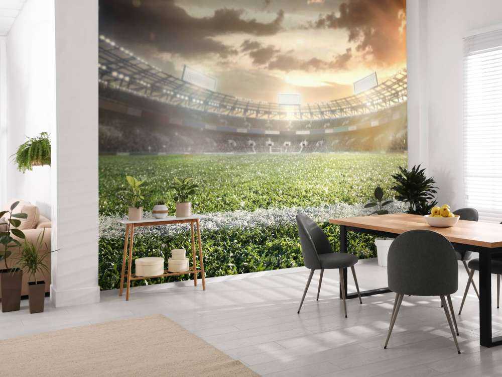 Stadion ze sztuczną trawą