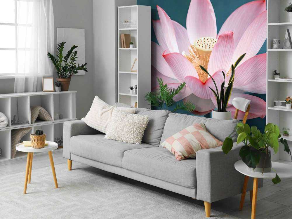 Kwiat lotosu w zbliżeniu