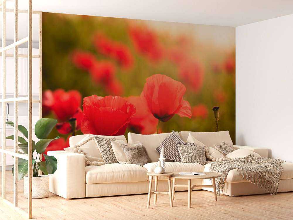 Maki o wschodzie słońca