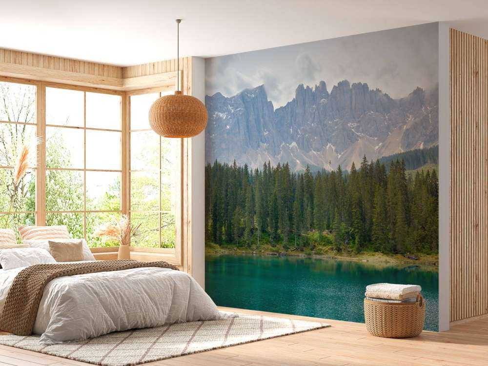 Rząd drzew w pobliżu górskiego jeziora