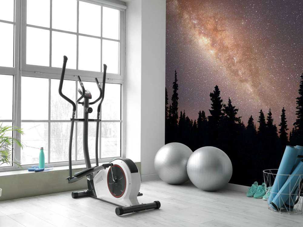 Droga Mleczna nad sylwetką drzew