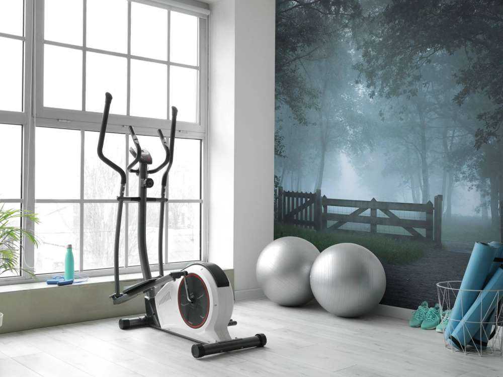 Zamglona ścieżka leśna