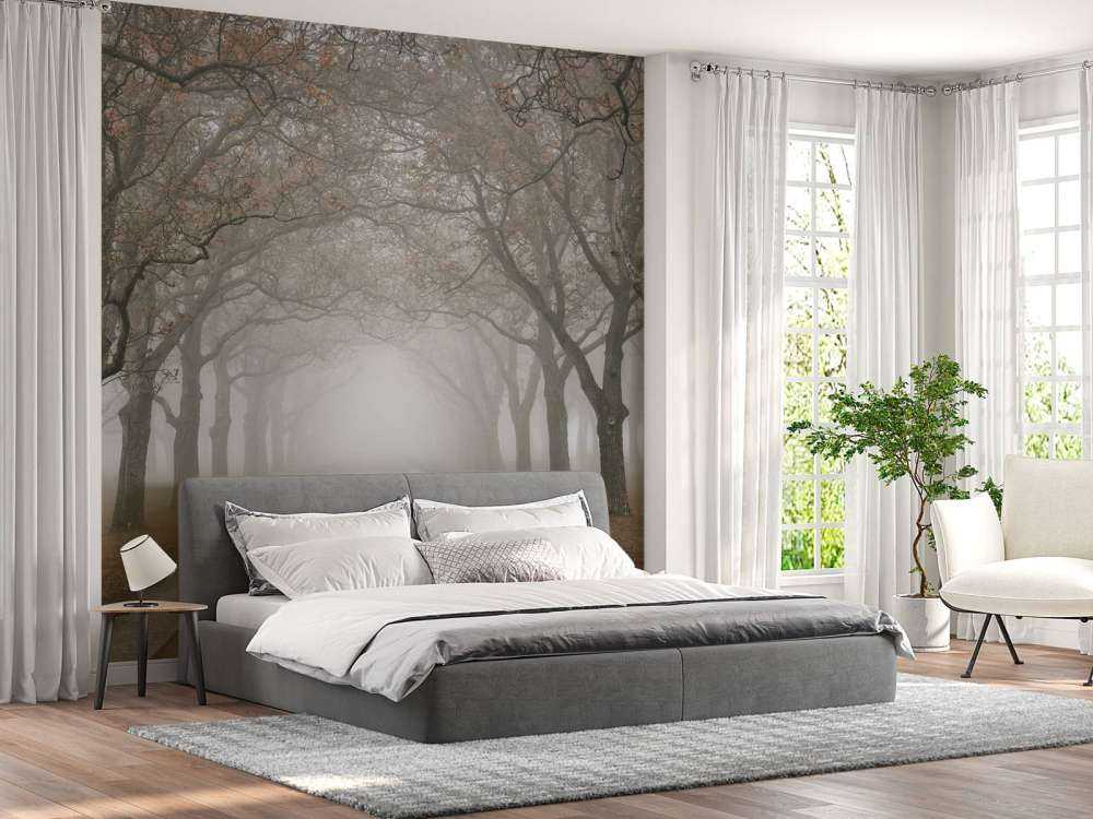 Droga ze starymi drzewami