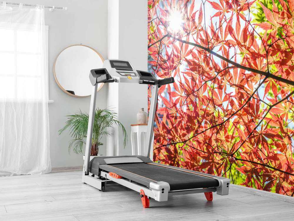 Czerwone jesienne liście