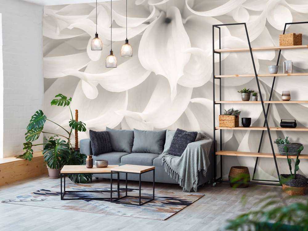 Zbliżenie na kwiat dalii