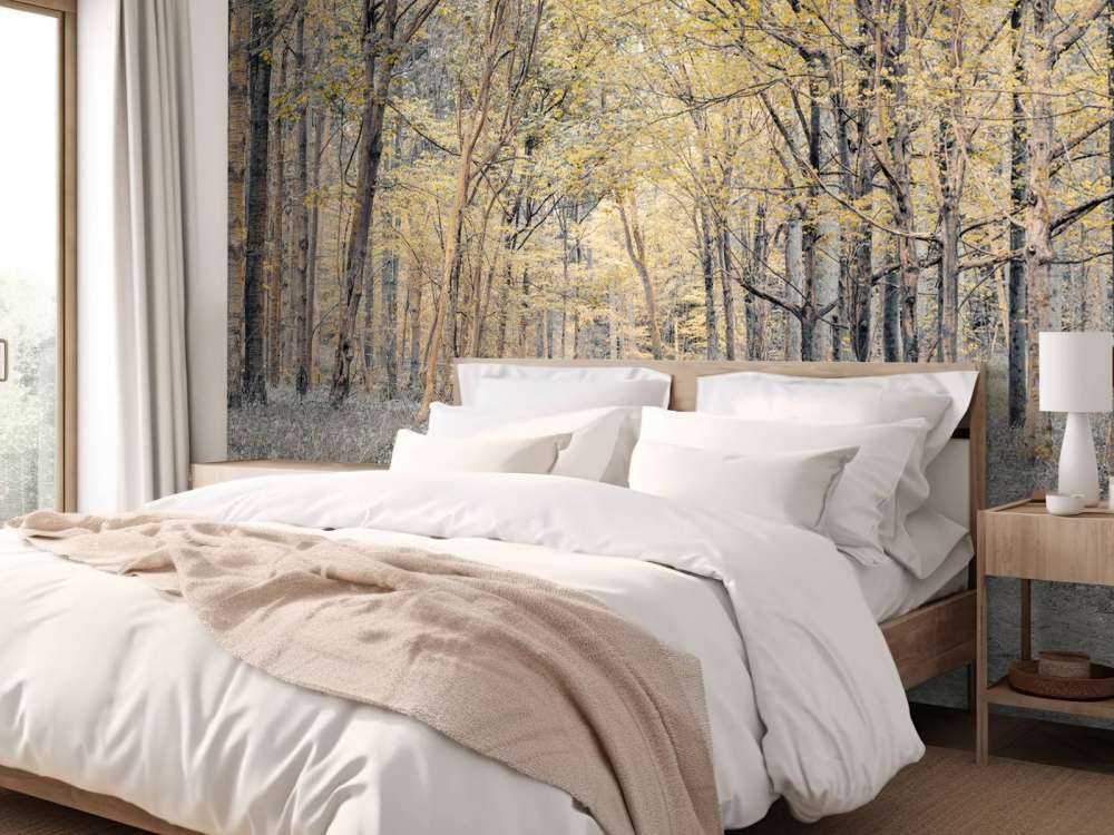 Leśna droga w okresie jesiennym