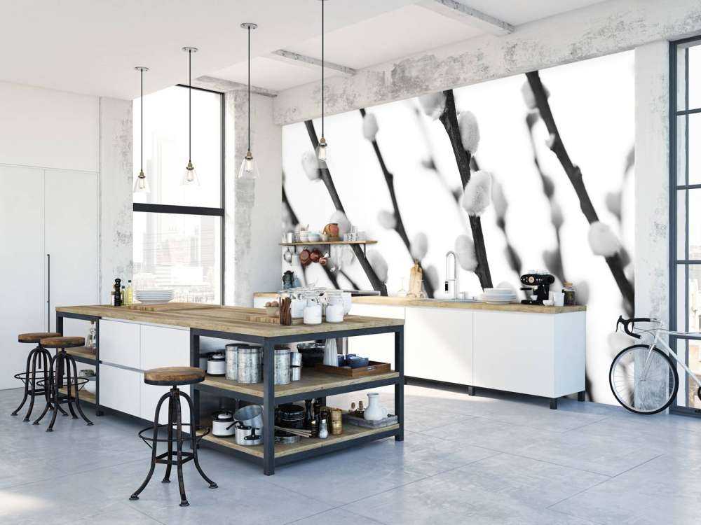 Wierzba czarna i biała