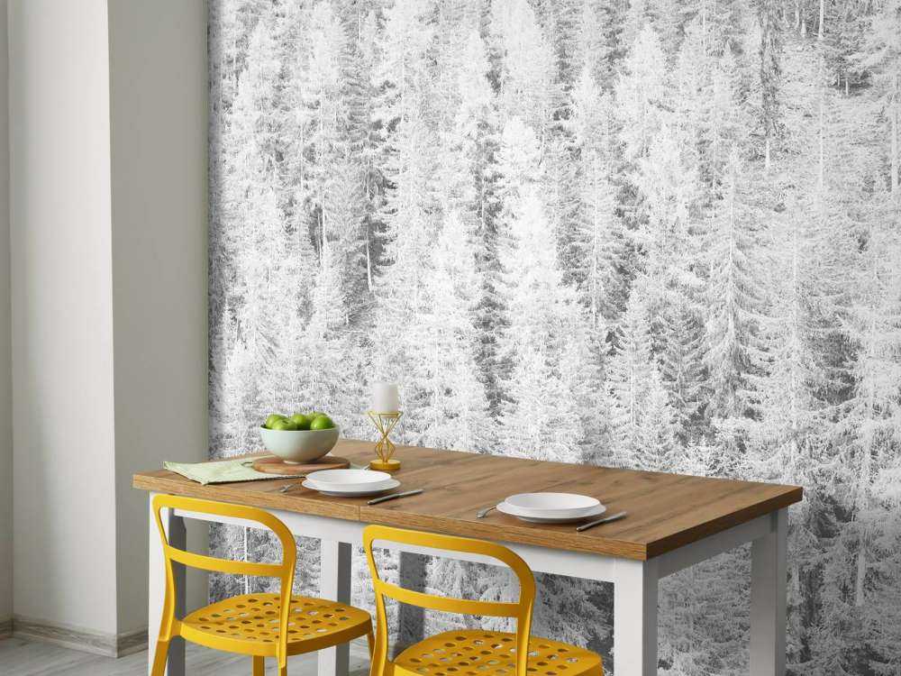 Drzewa iglaste w czerni i bieli