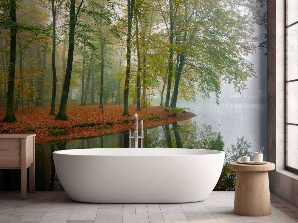 Odbicie drzew w stawie