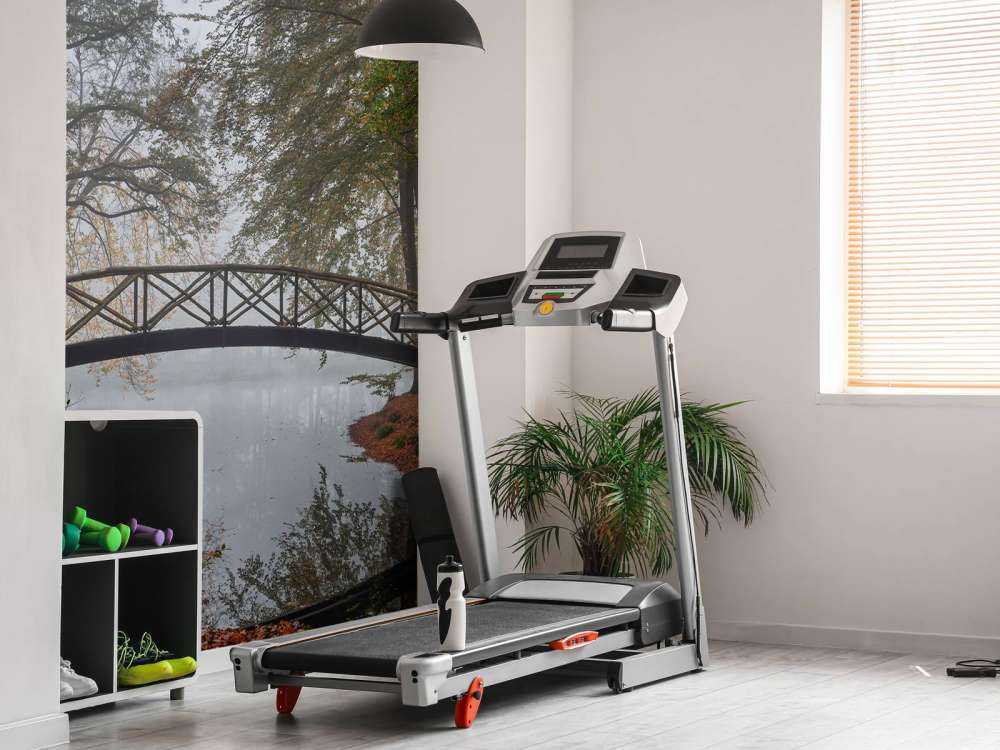 Mostek między drzewami