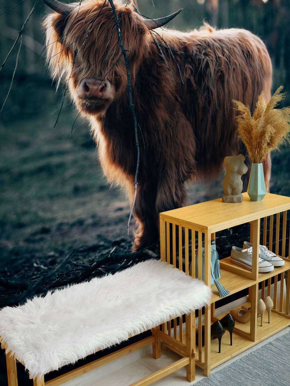 Szkocki wyżyn na skraju lasu