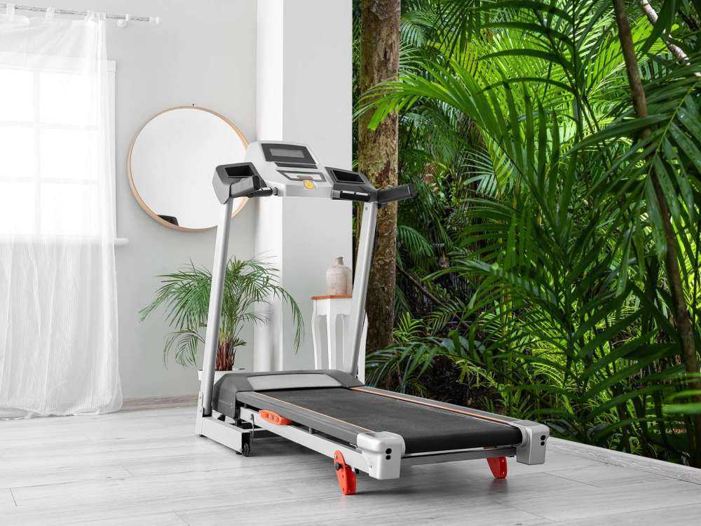 Tropikalne lasy deszczowe