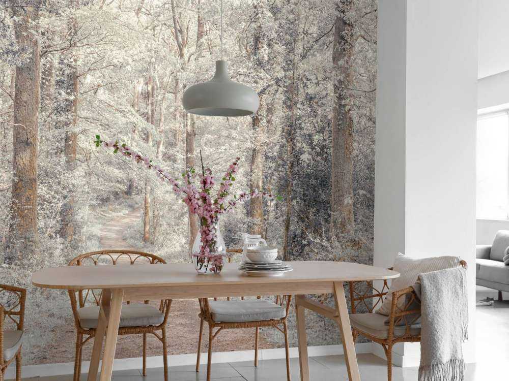 Ścieżka przez zielony las