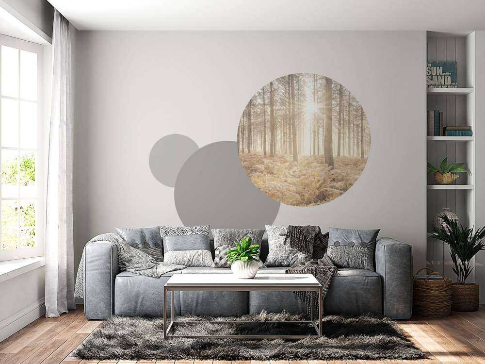 Promienie słońca w zimnym lesie