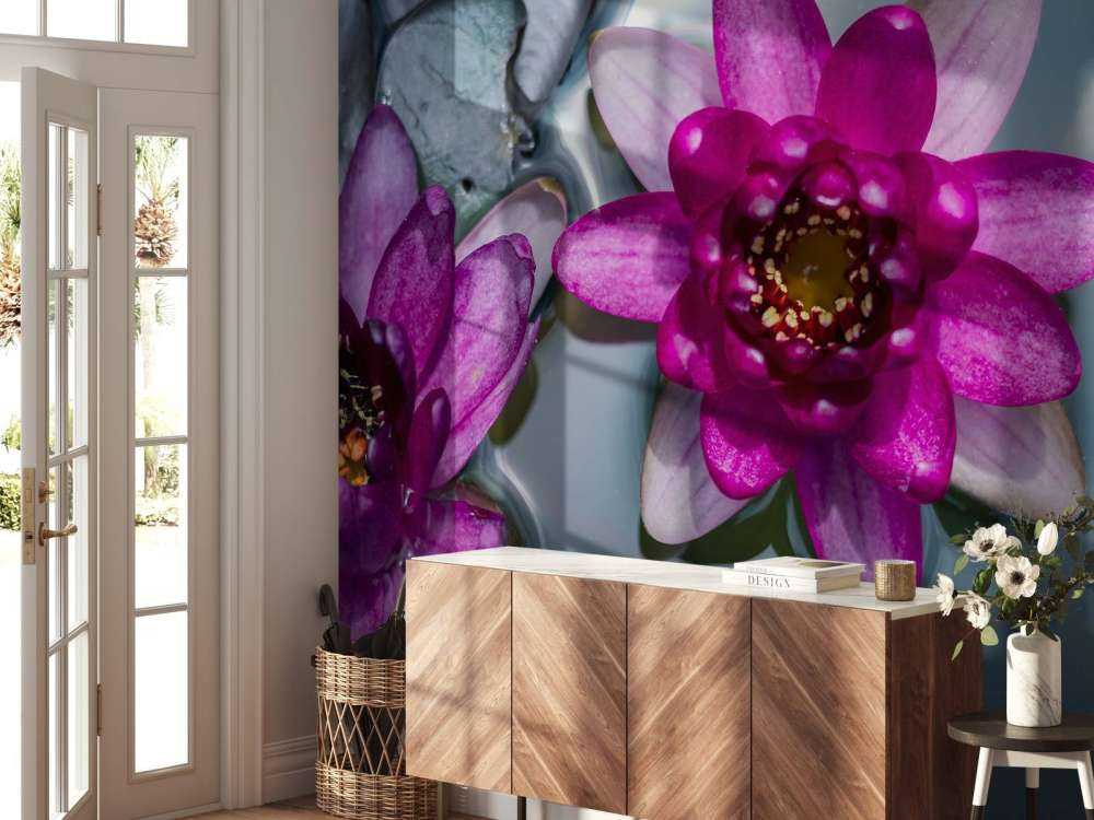 Różowy kwiat lotosu w wodzie