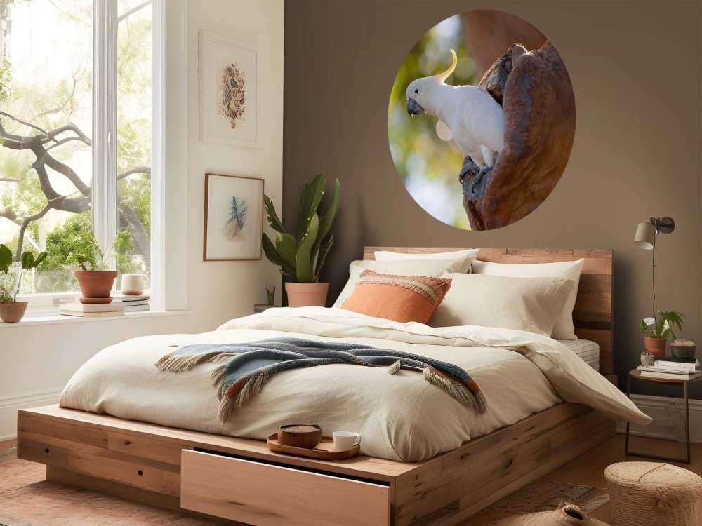 Kakadu w dziupli drzewa