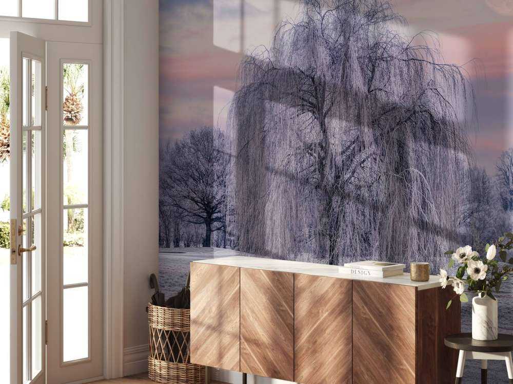 Drzewo pokryte mrozem