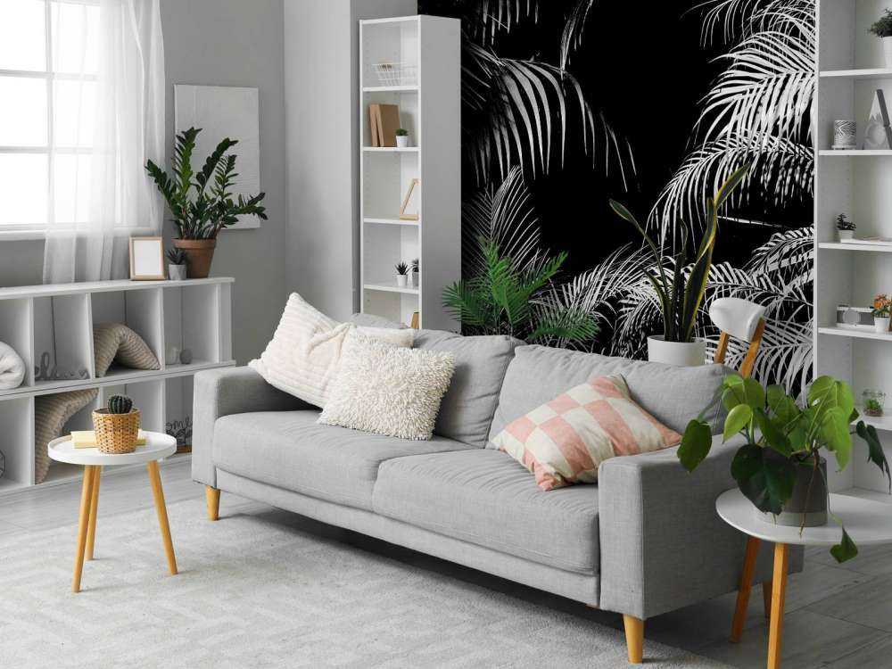 Roślina z białymi liśćmi