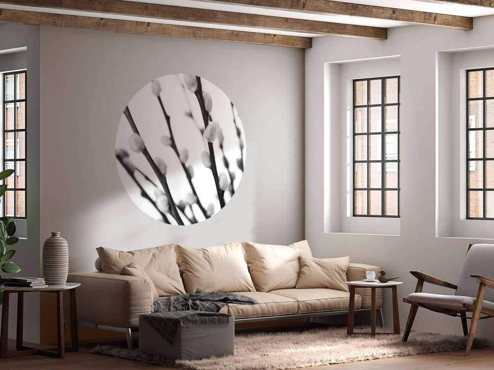 Wierzba czarna i biała