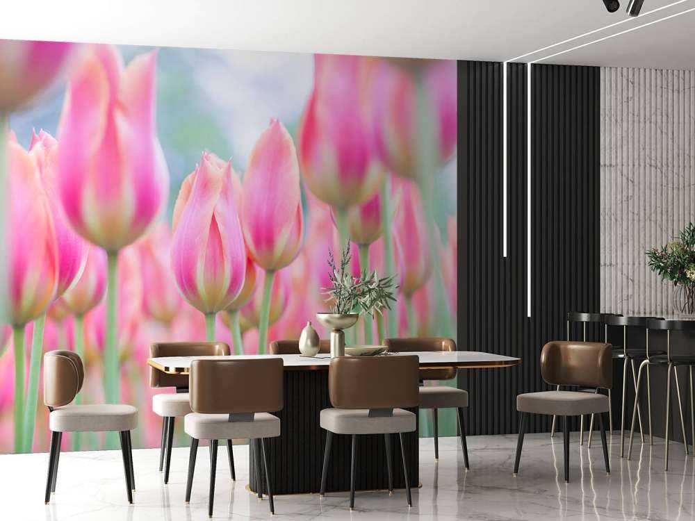 Zbliżenie na różowe tulipany