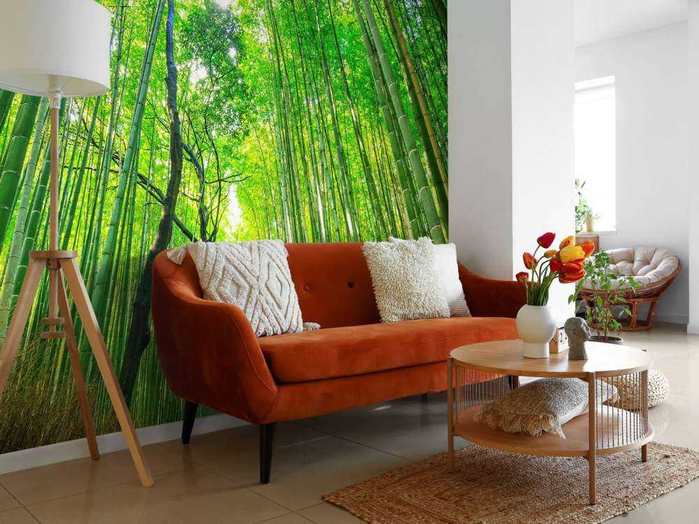 Las bambusowy w Arashiyama