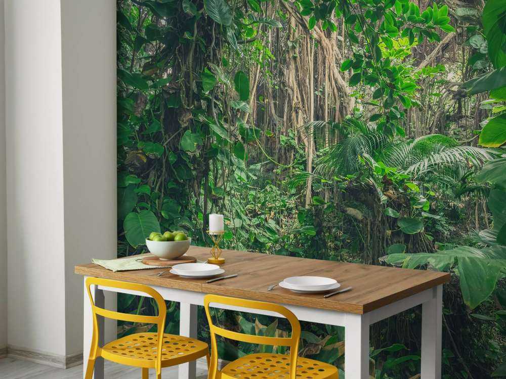 Gałęzie w lesie deszczowym