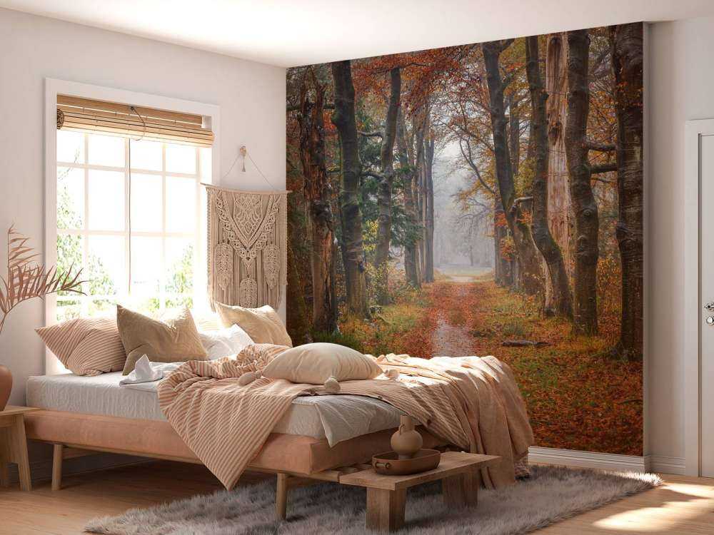 Leśna ścieżka ze starymi drzewami