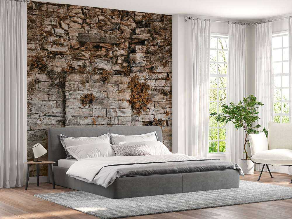 Ściana pokryta roślinnością jesienią