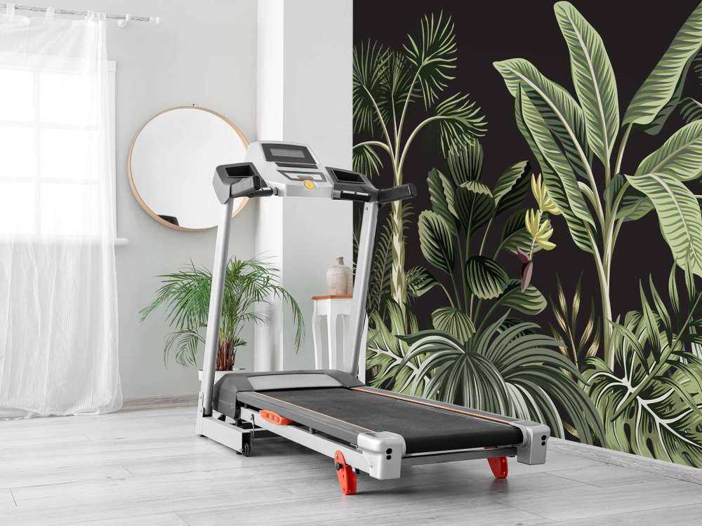 Tropikalna palma na ciemnym tle