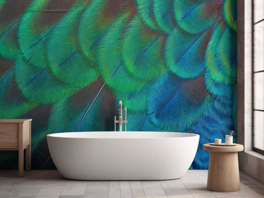 Zbliżenie na pawie pióra