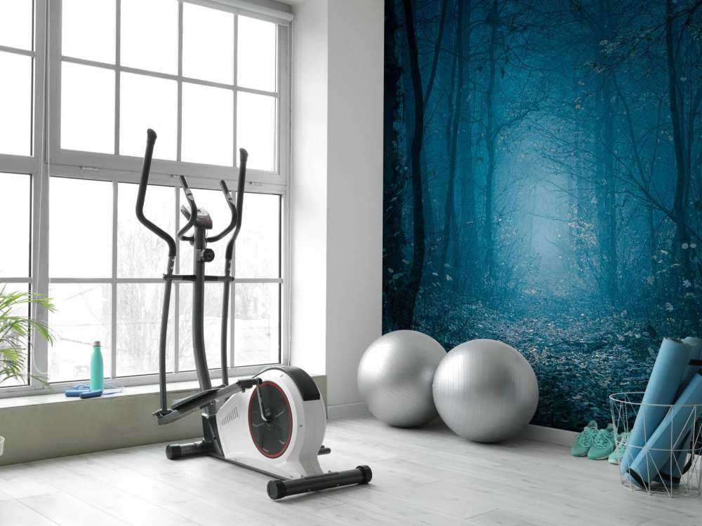 Niebieska ścieżka leśna