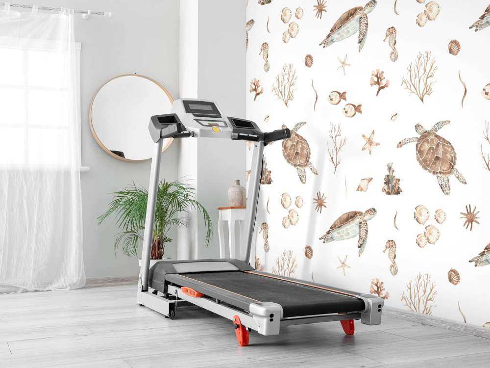 Muszle i morskie stworzenia