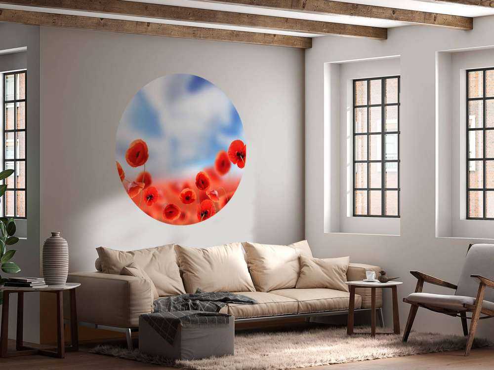 Błękitne niebo i czerwone maki