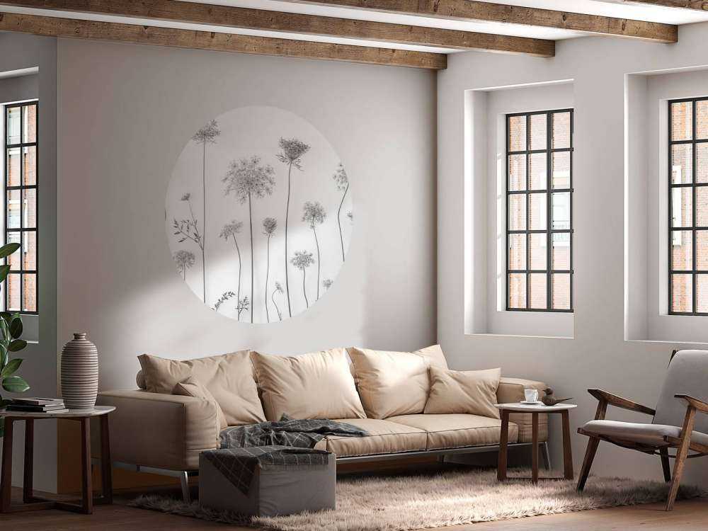 Krowa pietruszka w czerni i bieli