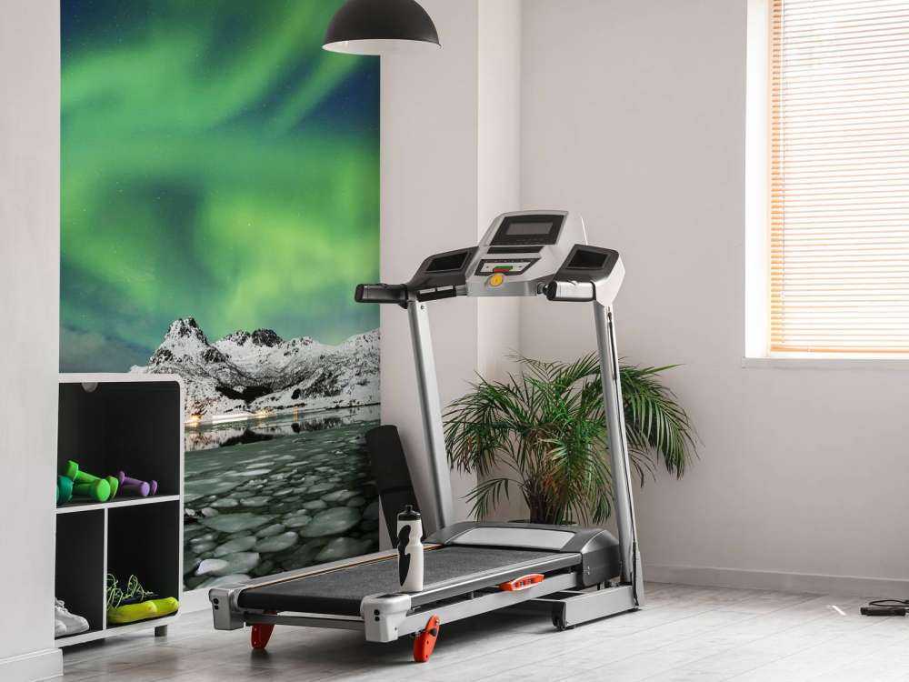 Światła północy nad zimowym krajobrazem