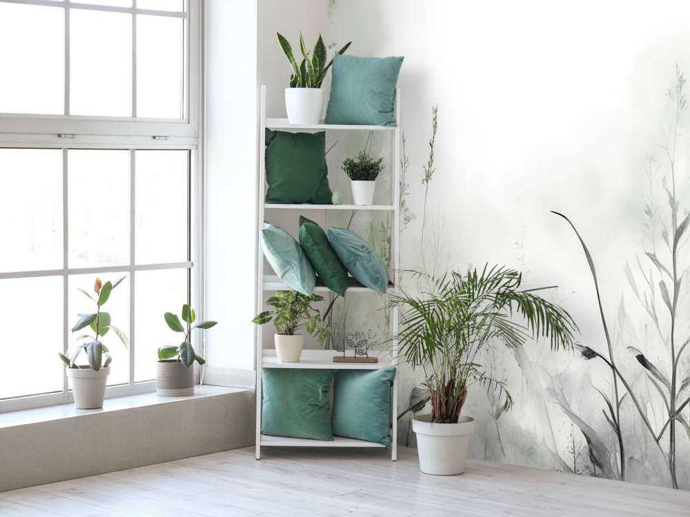 Poranna Cisza Mglista Biała