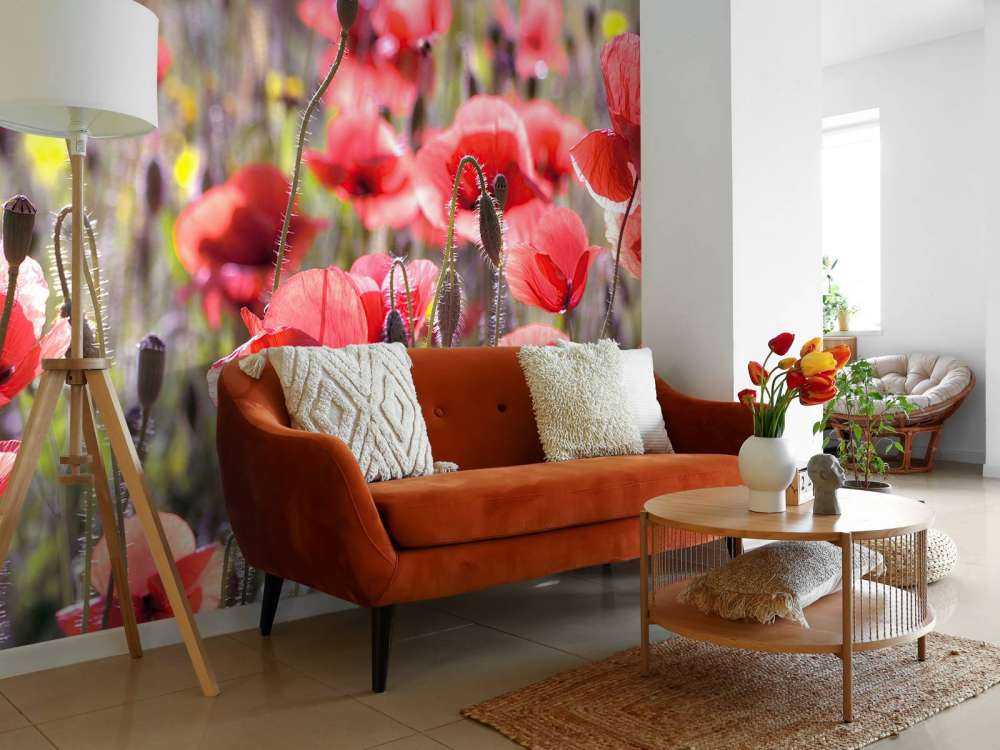 Maki o klasycznym wyglądzie