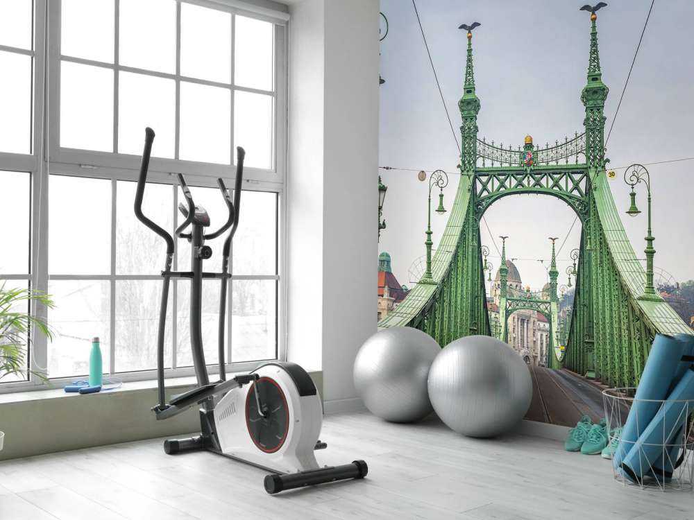 Linia tramwajowa w Budapeszcie