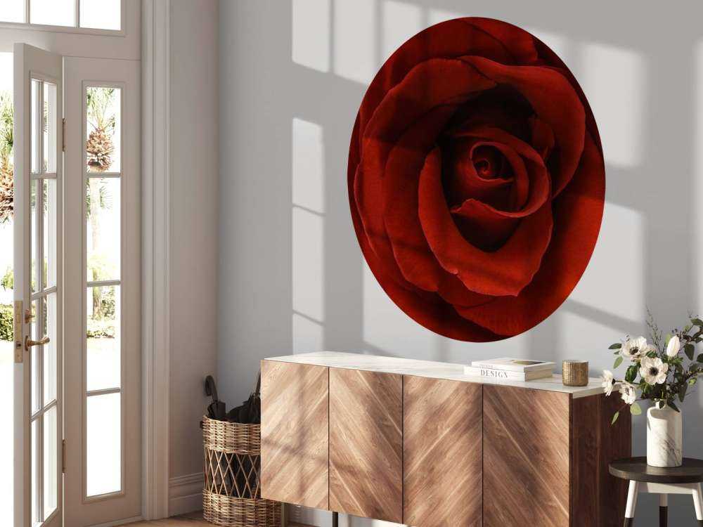 Zbliżenie na czerwoną róże