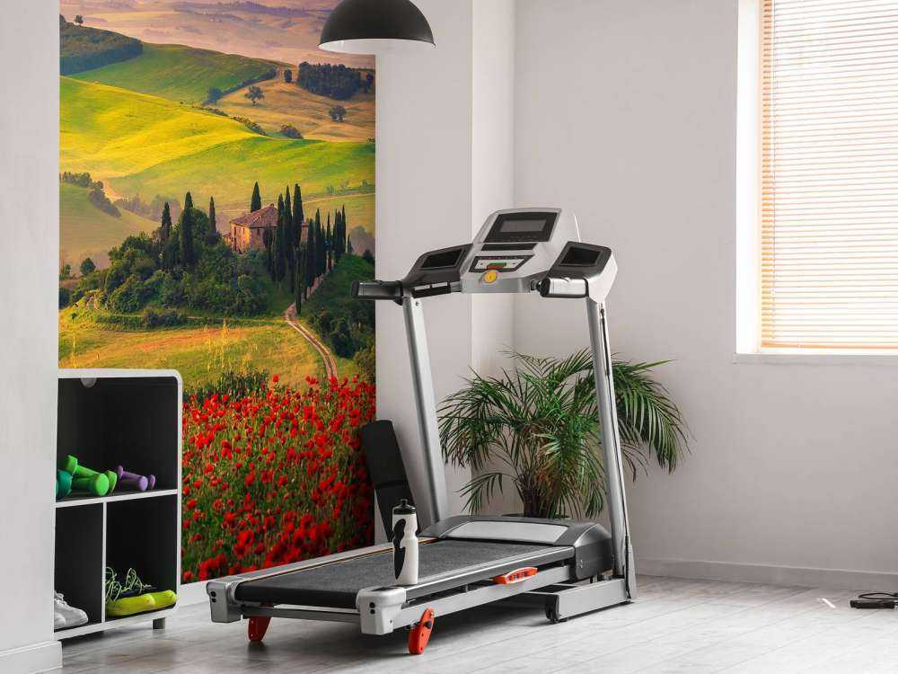 Czerwone maki z włoskim krajobrazem