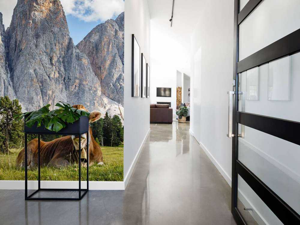 Krowa z dzwoneczkiem